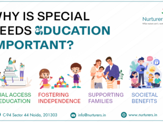 special need education