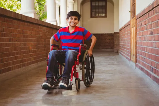 Causes of Locomotor Disability