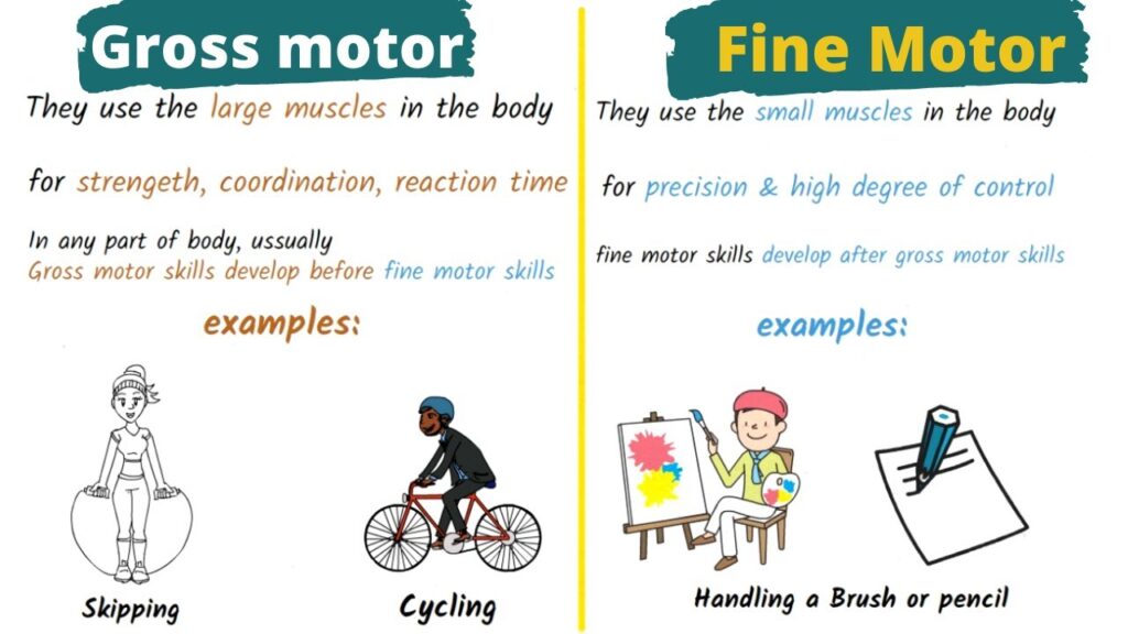 fine and gross motor skills activities