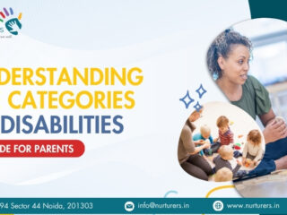 Categories of Disabilities