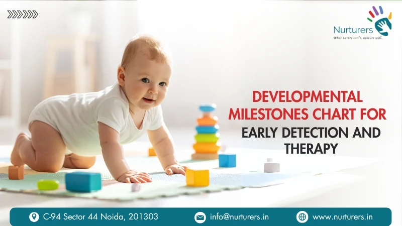 Developmental Milestones Chart