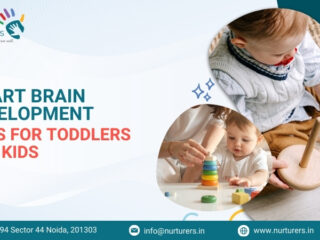 Brain Development Toys