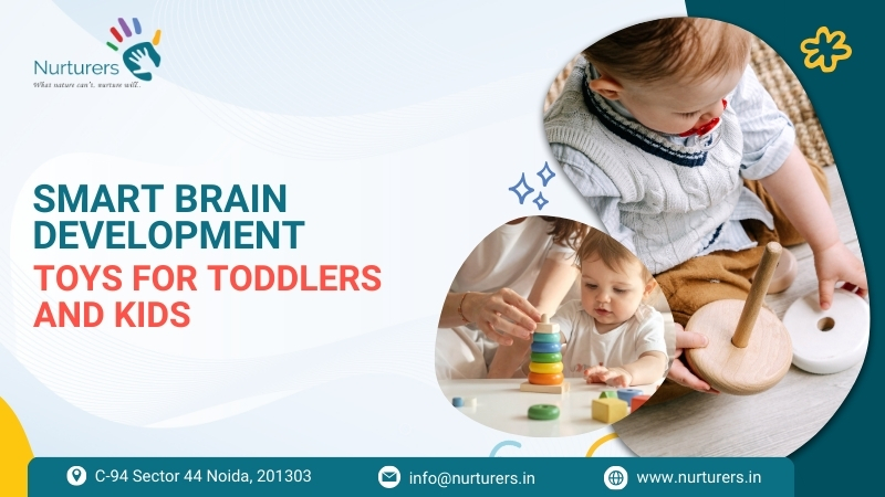 Brain Development Toys