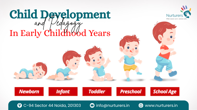 Child Development and Pedagogy