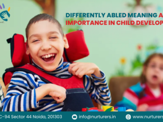Differently Abled Meaning