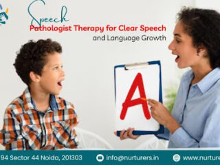 Speech Pathologist Therapy Services