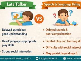 Difference between Late Talker vs Speech and Language Delay