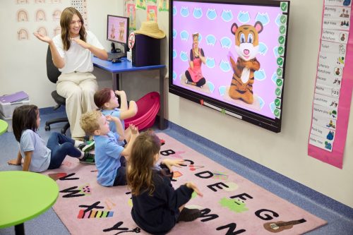what is the term used for children with special needs