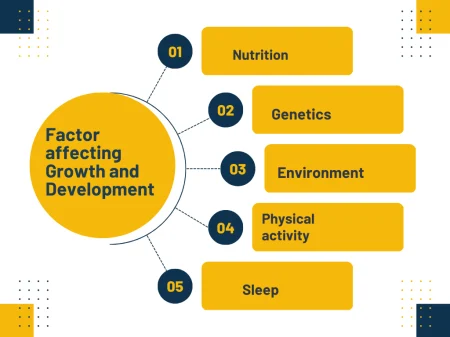 concept of growth and development