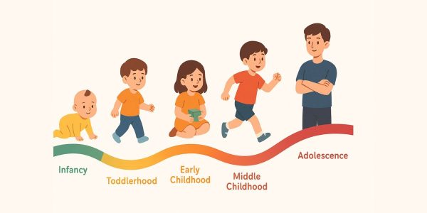 child brain development food