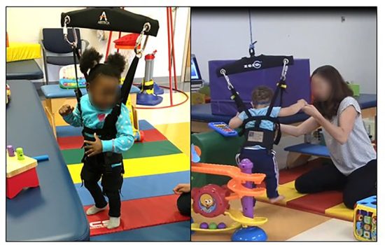 locomotor disability percentage