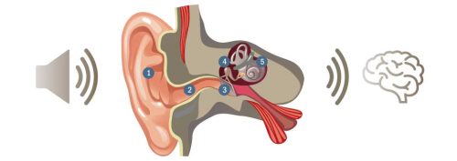 What is Hearing